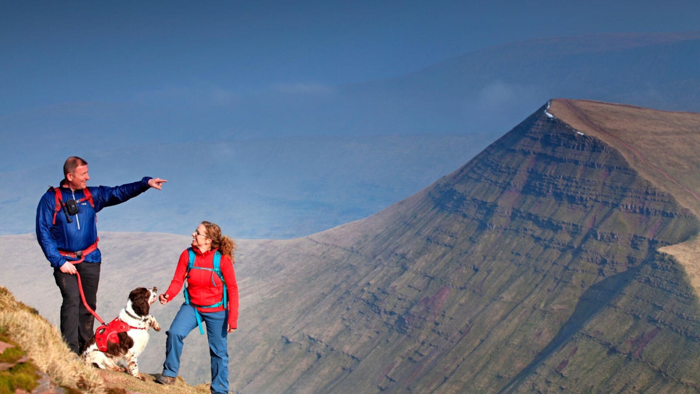 Springer spaniel and two humans on the side of a hill, how to hike with dogs