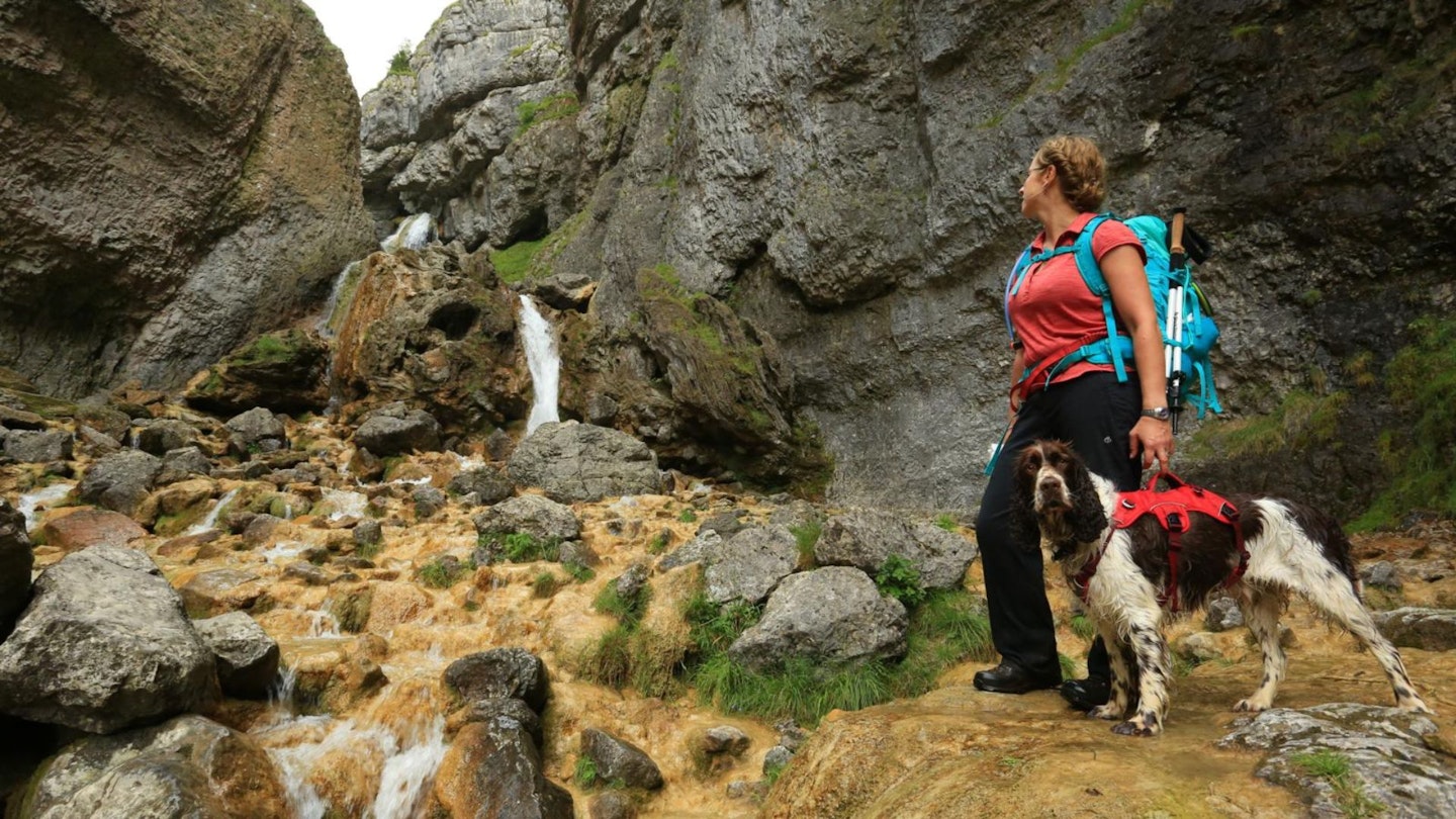 Walker at Gordale Scar Malham Yorkshire Dales