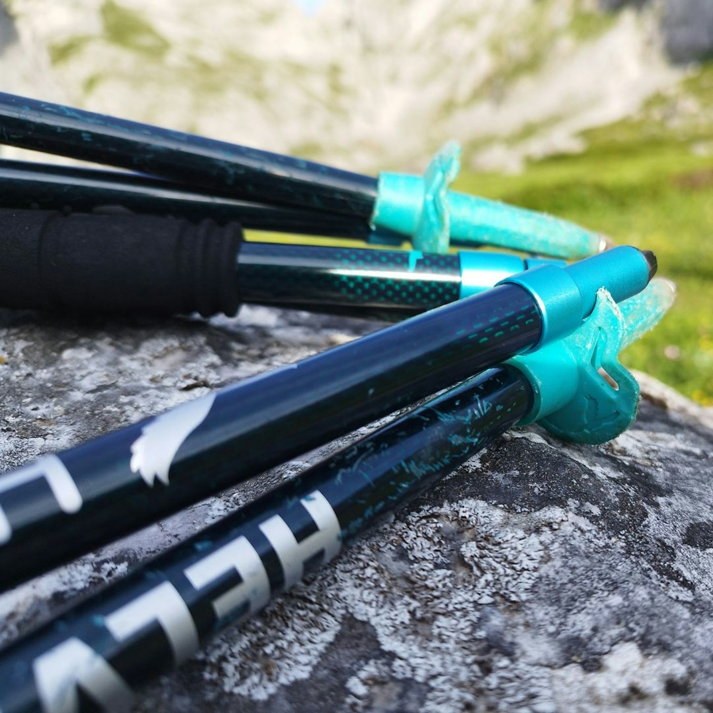 Helvellyn poles detail shot