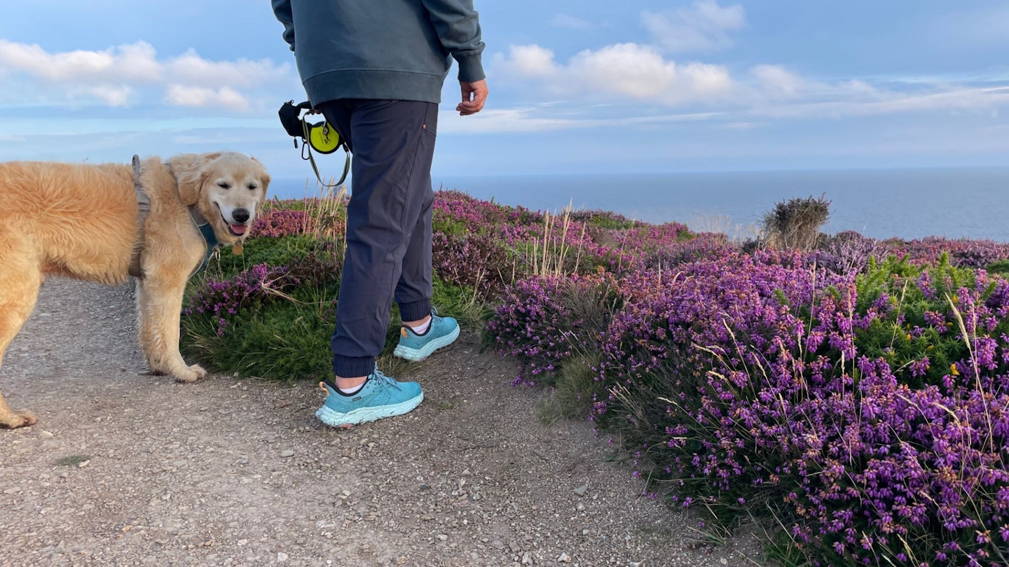 Hoka Anacapa 2 Low GORE-TEX hiking shoe in use