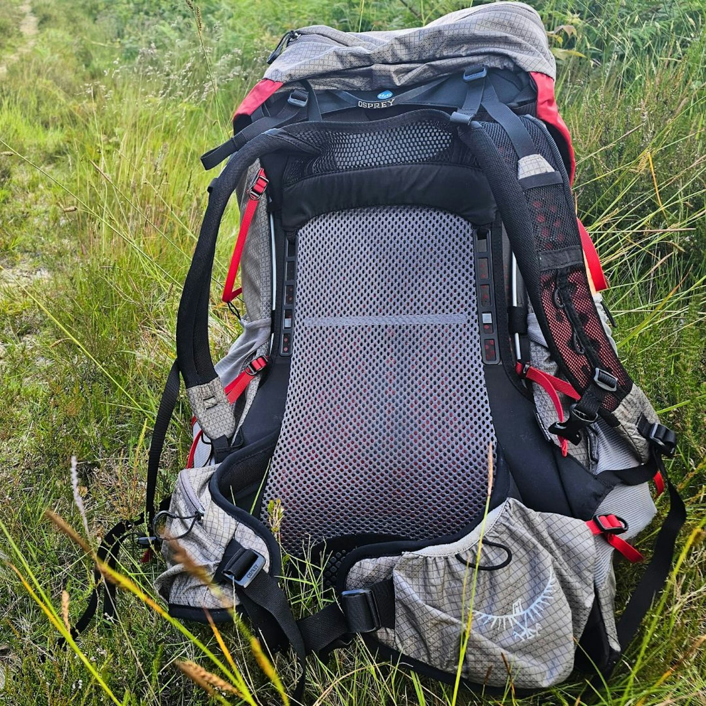 Osprey Eja Pro 55 back system